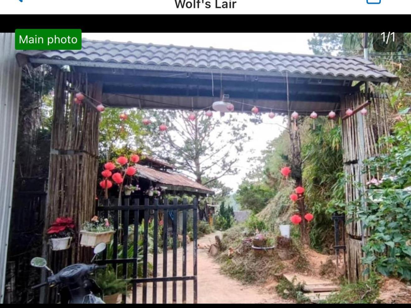 Wolf'S Lair Hotel Da Lat Eksteriør billede