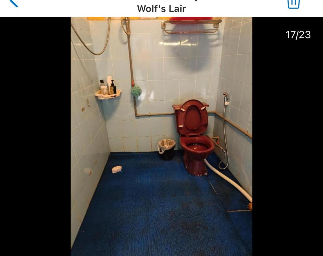 Wolf'S Lair Hotel Da Lat Eksteriør billede