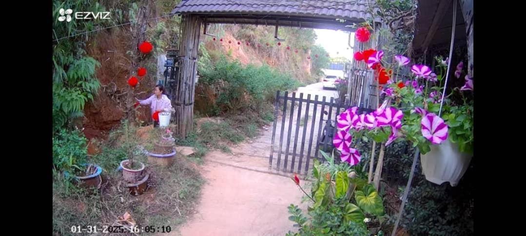 Wolf'S Lair Hotel Da Lat Eksteriør billede